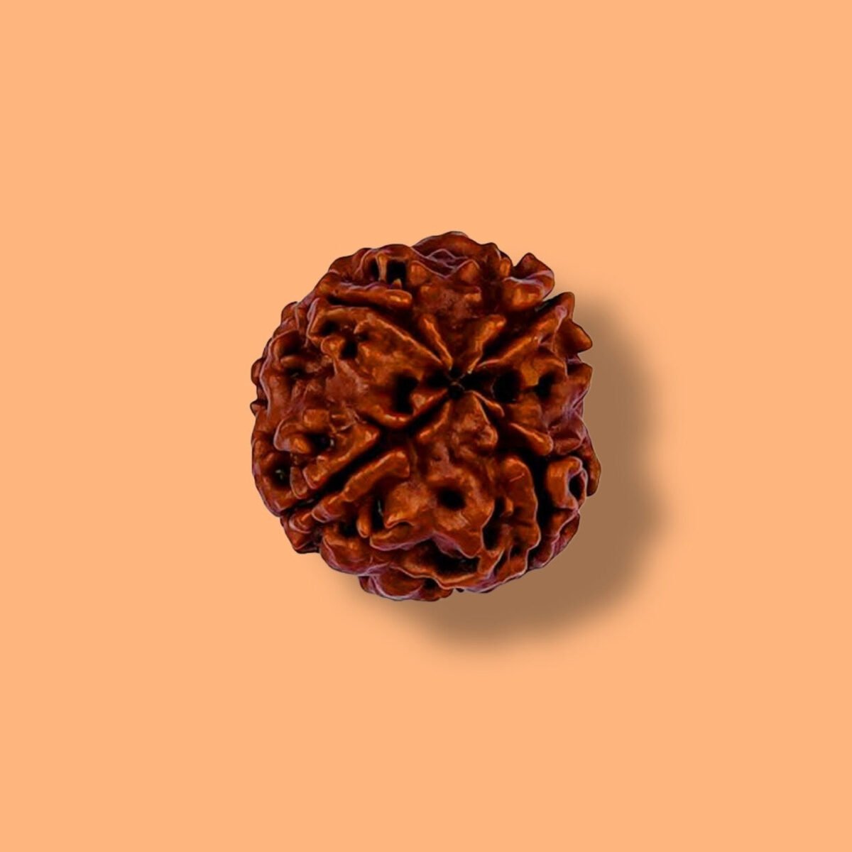 4 Mukhi Rudraksha: Awaken Your Inner Wisdom and Creativity - Image 1