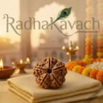 5 Mukhi Rudraksha (Nepali) Abhimantrit